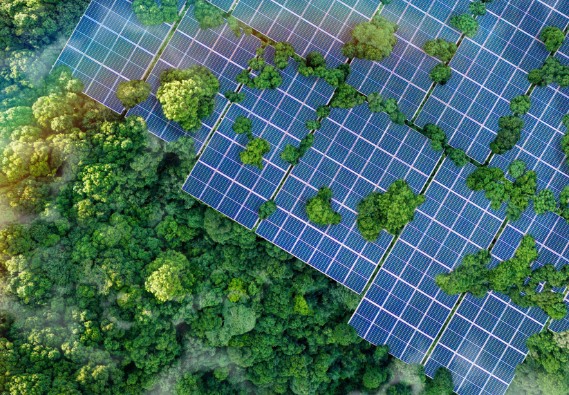 97国际-至尊品牌,源于诺言