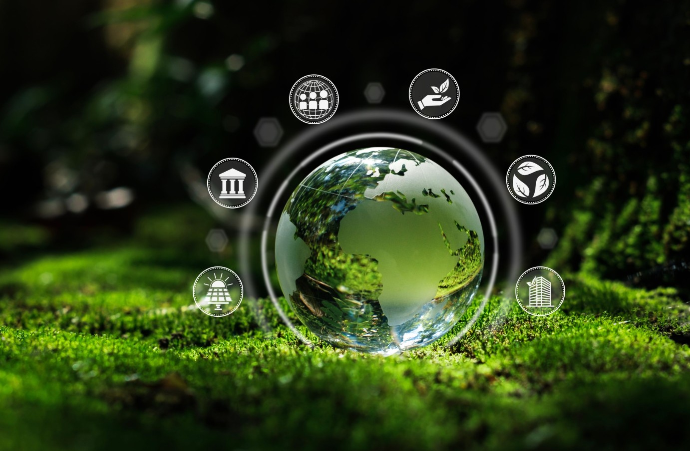 97国际-至尊品牌,源于诺言